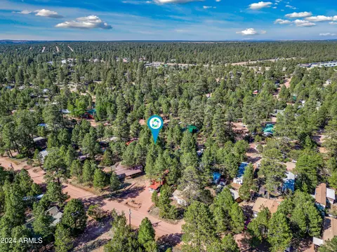 2888 Big Pine Rd, Overgaard, AZ 85933 photo 19