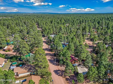 2888 Big Pine Rd, Overgaard, AZ 85933 photo 16