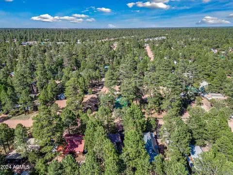 2888 Big Pine Rd, Overgaard, AZ 85933 photo 18
