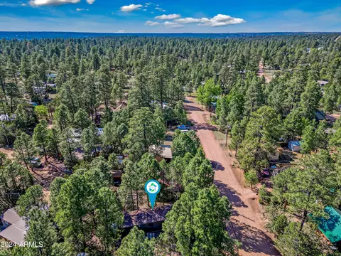 2888 Big Pine Rd, Overgaard, AZ 85933 photo 13