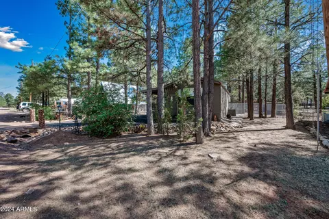 2888 Big Pine Rd, Overgaard, AZ 85933 photo 2