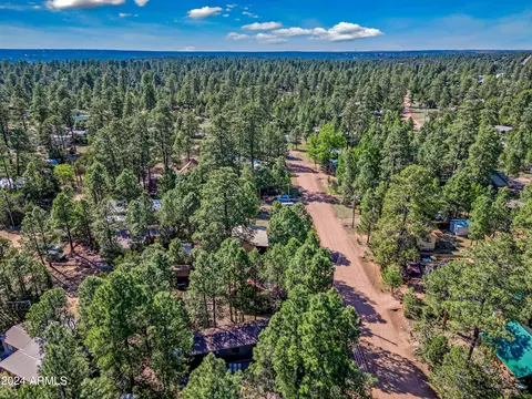2888 Big Pine Rd, Overgaard, AZ 85933 photo 14