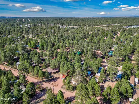 2888 Big Pine Rd, Overgaard, AZ 85933 photo 20