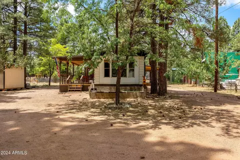 2858 Long Rifle Pl, Overgaard, AZ 85933 photo 28