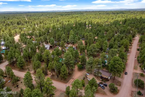 2858 Long Rifle Pl, Overgaard, AZ 85933 photo 27
