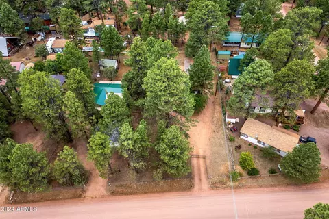 2858 Long Rifle Pl, Overgaard, AZ 85933 photo 26
