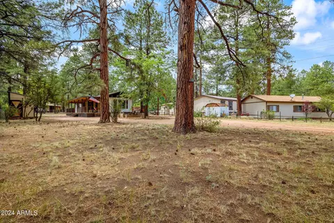 2858 Long Rifle Pl, Overgaard, AZ 85933 photo 20
