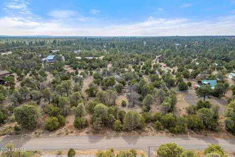 3356 Apache Dr #146, Overgaard, AZ 85933