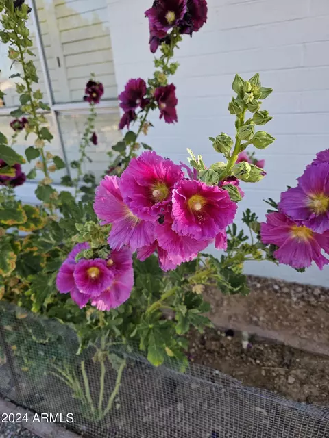9925 W Cumberland Dr, Sun City, AZ 85351