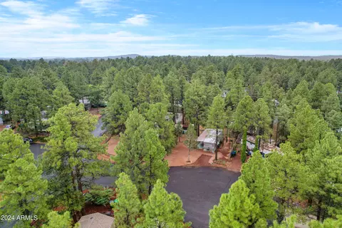 1106 N 43rd Loop, Show Low, AZ 85901 photo 13