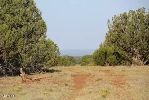 00 Shady Oak Rd #-, Show Low, AZ 85902
