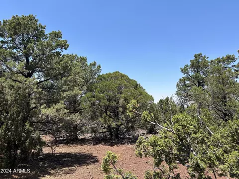 lot75 N Dolly Dr #75, Vernon, AZ 85940