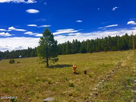 tbd E Mountain Meadow Ln #033, Lakeside, AZ 85929
