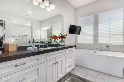 Bath - 2123 E Aris Dr, Gilbert, AZ 85298 photo 2 of 8