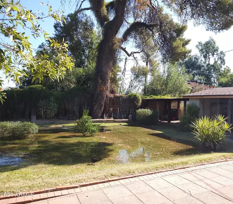 1228 E Coolidge St, Phoenix, AZ 85014 photo 13