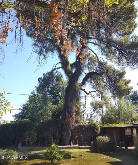 1228 E Coolidge St, Phoenix, AZ 85014 photo 12