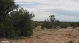 Sec 19 T15n, R16e -- #'''-''', Heber, AZ 85928