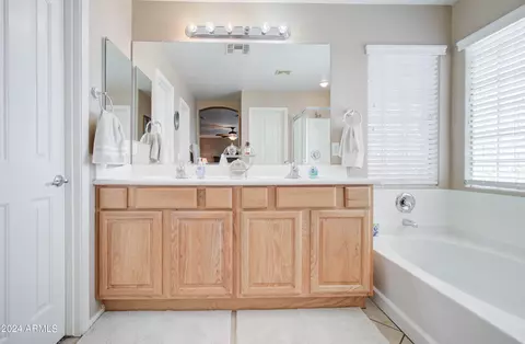 Bath - 3354 E Merlot St, Gilbert, AZ 85298 photo 9 of 12
