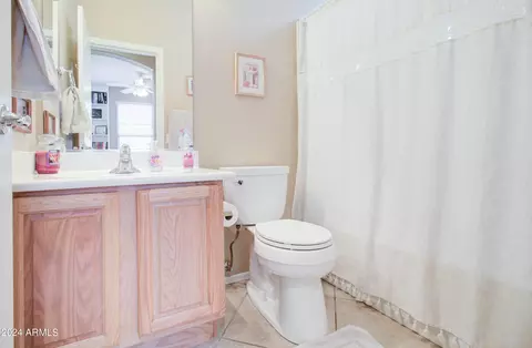 Bath - 3354 E Merlot St, Gilbert, AZ 85298 photo 1 of 12