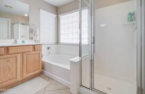 Bath - 3354 E Merlot St, Gilbert, AZ 85298 photo 11 of 12