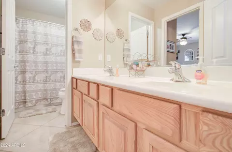 Bath - 3354 E Merlot St, Gilbert, AZ 85298 photo 5 of 12