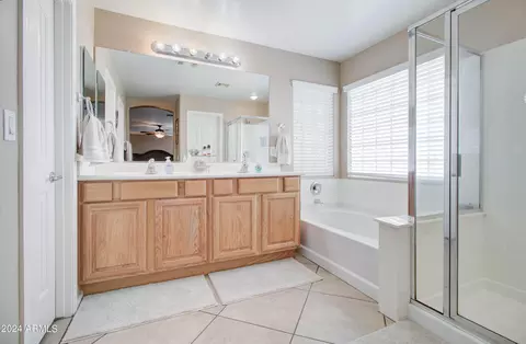 Bath - 3354 E Merlot St, Gilbert, AZ 85298 photo 8 of 12