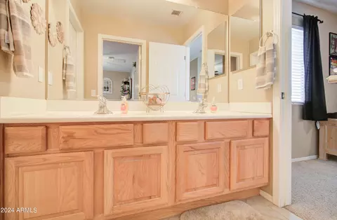 Bath - 3354 E Merlot St, Gilbert, AZ 85298 photo 3 of 12
