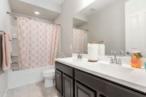 Bath - 9539 E Thornbush Ave, Mesa, AZ 85212 photo 11 of 13