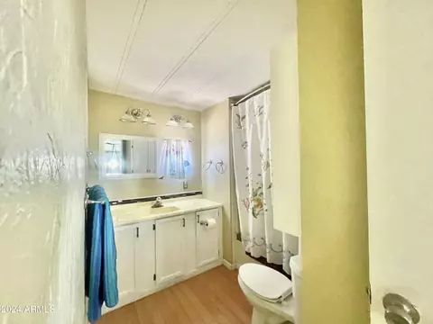 10220 E Apache Trl #218, Apache Junction, AZ 85120 photo 11