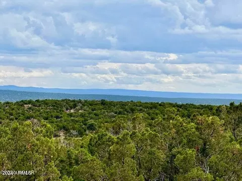 2736 Rebel Yell Rd #-, Snowflake, AZ 85937