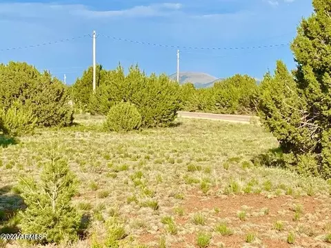 115 Acr 3187 -- #388, Vernon, AZ 85940
