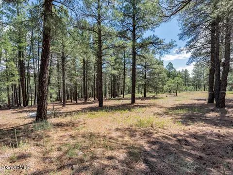 2051 Peery Francis -- #815, Flagstaff, AZ 86005