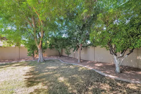 4117 Encanto St, Mesa, AZ 85205 photo 48