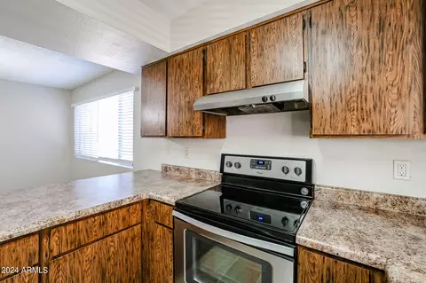 3017 S Longmore --, Mesa, AZ 85202 photo 17