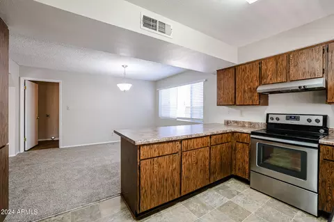 3017 S Longmore --, Mesa, AZ 85202 photo 14