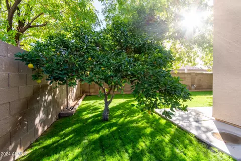 345 E Palomino Ct, Gilbert, AZ 85296 photo 53