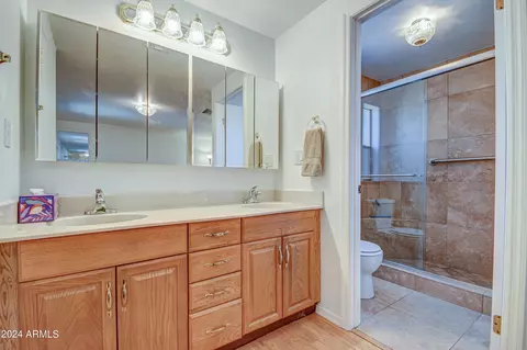 5232 E Lindstrom Ln E, Mesa, AZ 85215 photo 26
