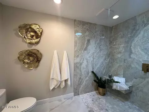 2438 E North Ln, Phoenix, AZ 85028 photo 36