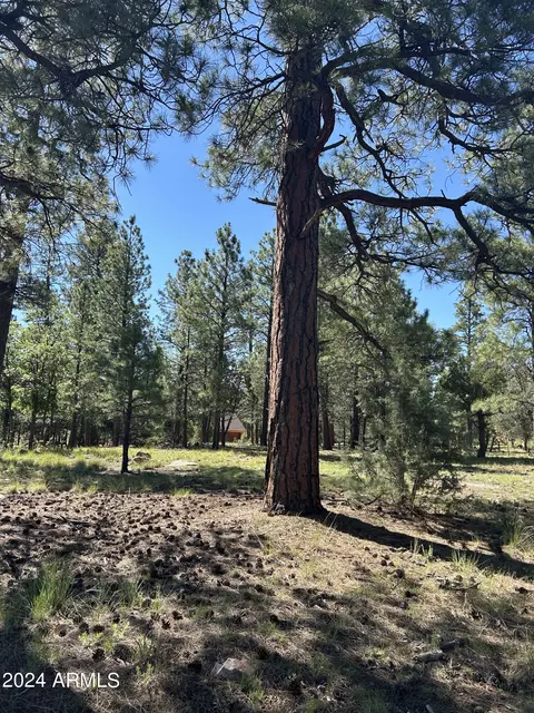 4978 Durango Dr #358, Happy Jack, AZ 86024