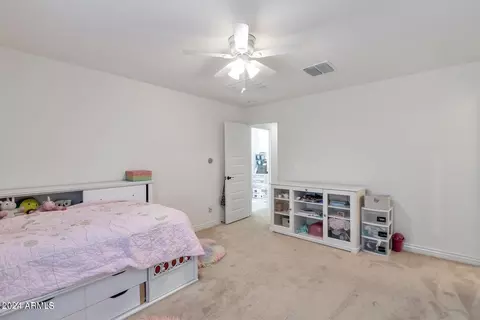 10009 E Gamma Ave, Mesa, AZ 85212 photo 41
