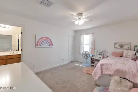 10009 E Gamma Ave, Mesa, AZ 85212 photo 42