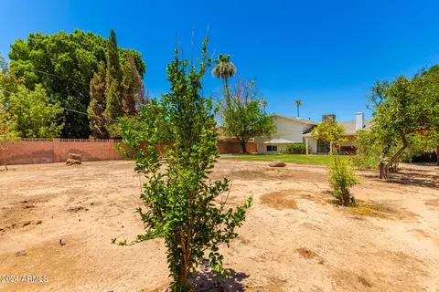 117 Ellis Dr, Tempe, AZ 85282 photo 30