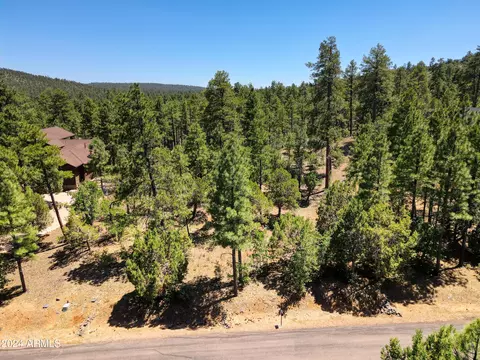 3061 W Sage Ln #199, Show Low, AZ 85901