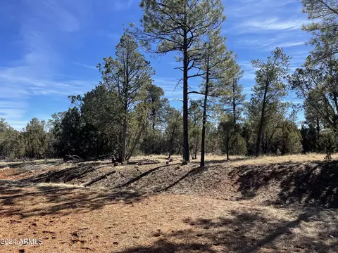 2255 Bootlegger -- #3, Overgaard, AZ 85933 photo 31