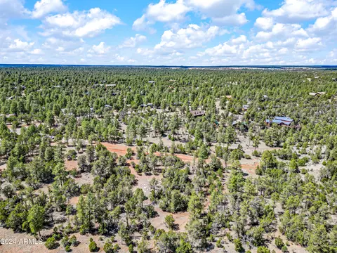 2255 Bootlegger -- #3, Overgaard, AZ 85933 photo 12