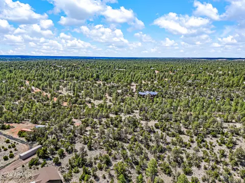 2255 Bootlegger -- #3, Overgaard, AZ 85933 photo 10
