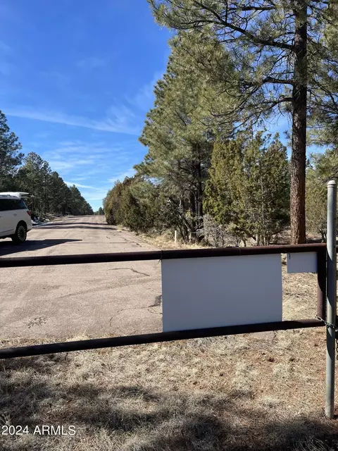 2255 Bootlegger -- #3, Overgaard, AZ 85933 photo 35