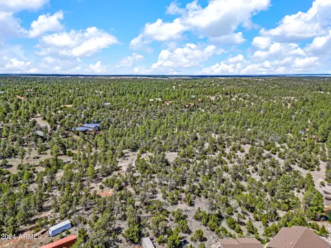 2255 Bootlegger -- #3, Overgaard, AZ 85933 photo 11