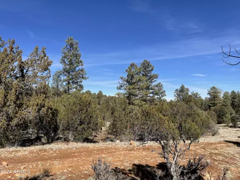 2255 Bootlegger -- #3, Overgaard, AZ 85933 photo 33