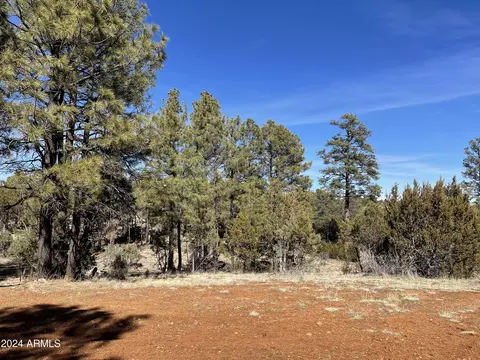 2255 Bootlegger -- #3, Overgaard, AZ 85933 photo 32
